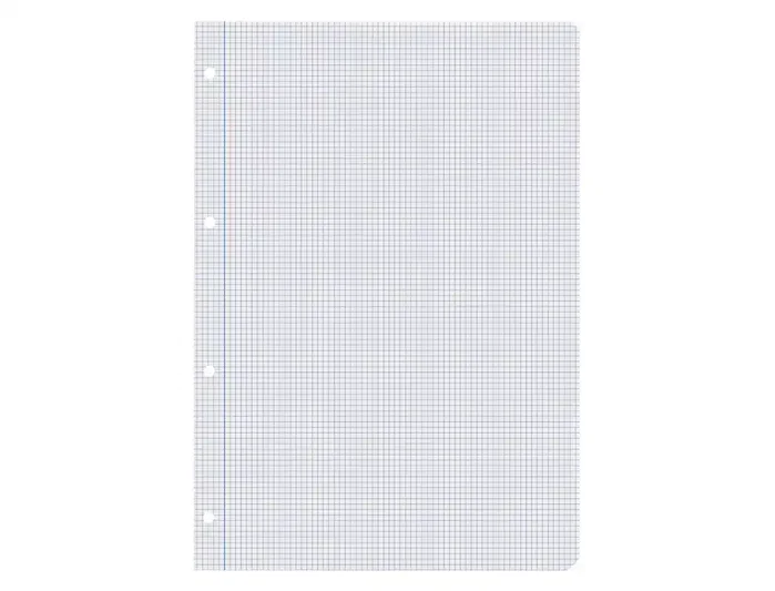 Liderpapel Recambio A4 100 Hojas 60gr Cuadro 3mm Con Margen 4 Taladros