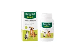 Stangest Dermovital Zinc 60 Comprimidos Suplemento Nutricional Perros Cuidado Dérmico Piel Pelo Omega 3 6 Biotina Vitamina B