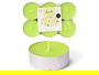 Acorde Set 6 Velas Tea Light Maxi 9h Jazmín 17.5x11.8x2.2 cm (Set de 24)