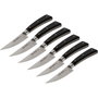 Laguiole Jean Dubost Set de 6 Cuchillos para Carne con Mango de Acrílico con Caja de Madera de Haya de 22 cm de Longitud Total de Color Plata / Negro.