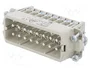 LAPP EPIC H-A Plantilla de Contacto Macho HDC 16 PIN