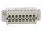 LAPP EPIC H-A Plantilla de Contacto Macho HDC 16 PIN