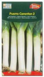 Semillas Fito Horticolas Puerro Verde de Carentan