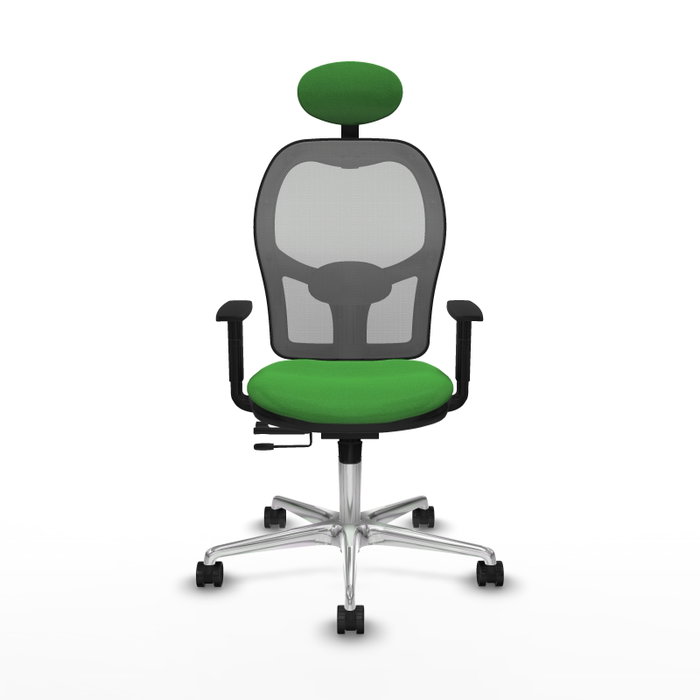PIQUERAS Y CRESPO Silla de oficina Jorquera con mecanismo Sincro/Traslack Verde y Gris PIQUERAS Y CRESPO Silla de oficina Jorquera con mecanismo Sincro/Traslack Verde y Gris