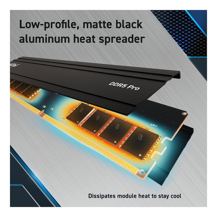 Crucial Pro CP48G56C46U5 48GB 1x48GB DDR5 5600MHz 288-pin DIMM Low Profile con XMP 3.0 y AMD EXPO, On-Die ECC, Unbuffered