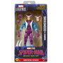 HASBRO Figura Marvel's Boomerang Brand New Day Spider-Man Marvel Legends Series 15cm