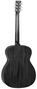 Tanglewood Black Bird Orchestra Twbboe