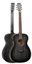 Tanglewood Black Bird Orchestra Twbboe