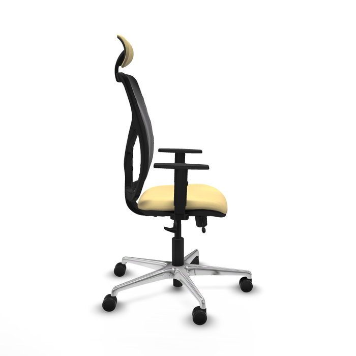 PIQUERAS Y CRESPO Silla de oficina Motilla con mecanismo Sincro/Traslack, Crema y Negro PIQUERAS Y CRESPO Silla de oficina Motilla con mecanismo Sincro/Traslack, Crema y Negro