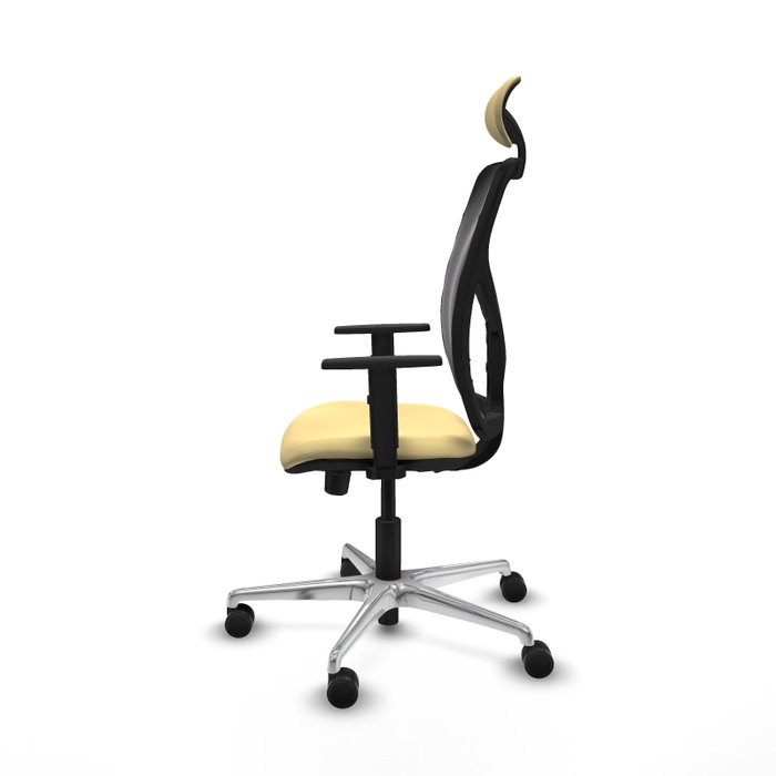 PIQUERAS Y CRESPO Silla de oficina Motilla con mecanismo Sincro/Traslack, Crema y Negro PIQUERAS Y CRESPO Silla de oficina Motilla con mecanismo Sincro/Traslack, Crema y Negro