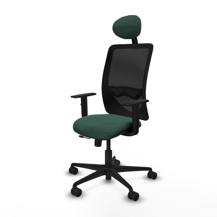 PIQUERAS Y CRESPO Silla de oficina Zulema con mecanismo Sincro/Traslack Verde botella y Negro PIQUERAS Y CRESPO Silla de oficina Zulema con mecanismo Sincro/Traslack Verde botella y Negro