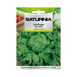 SATURNIA Semillas de Lechuga Reina del Hielo 7g