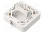 ABEX Conector de alimentación AC de alimentación