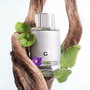 Montblanc Explorer Platinum Eau de Parfum 60 ml