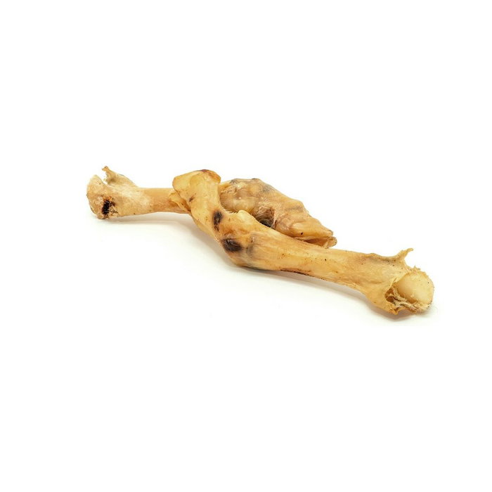 Pienso Gloria Cordero Pienso Gloria Cordero