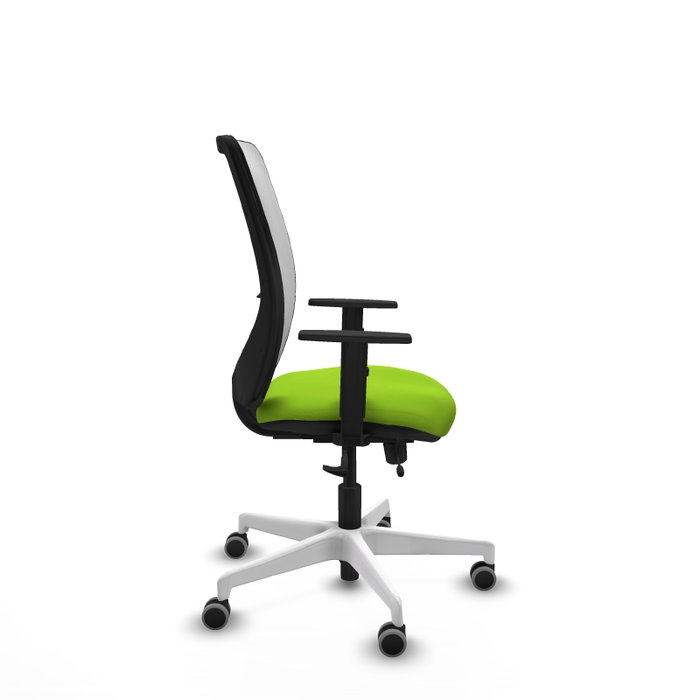 PIQUERAS Y CRESPO Silla de oficina Zulema con mecanismo Sincro/Traslack, Pistacho y Blanco PIQUERAS Y CRESPO Silla de oficina Zulema con mecanismo Sincro/Traslack, Pistacho y Blanco