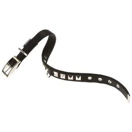 Ferplast Collar Dual CF25 Negro para Perros y Gatos Ajustable 37-45 cm Ancho 25 mm