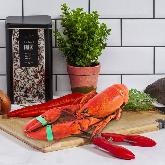 Cook Concept Tijeras-Pinzas Crustáceos Cook Concept Table En Fête para Marisco Fácil de Usar Ergonómicas Medidas 17,8x5,5 cm