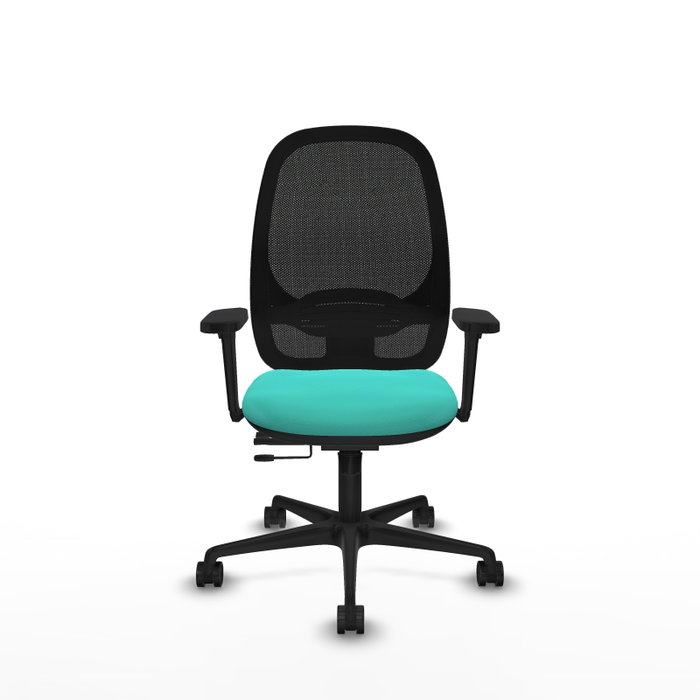 PIQUERAS Y CRESPO Silla de oficina Cilanco con mecanismo Sincro/Traslack, Turquesa y Negro PIQUERAS Y CRESPO Silla de oficina Cilanco con mecanismo Sincro/Traslack, Turquesa y Negro