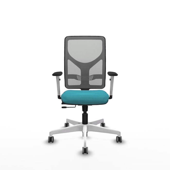 PIQUERAS Y CRESPO Silla de oficina Motilla con mecanismo Sincro/Traslack, Turquesa y Gris PIQUERAS Y CRESPO Silla de oficina Motilla con mecanismo Sincro/Traslack, Turquesa y Gris