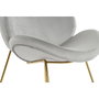 DKD Home Decor Silla de Terciopelo Gris Claro y Dorado