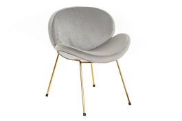 DKD Home Decor Silla Jiete polyester Gris Claro Dorado 62 x 58 x 73 cm Estilo Chic