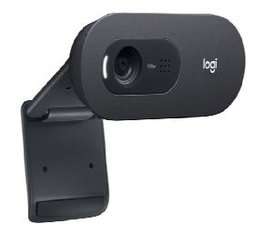 Logitech C505e Webcam HD 720p Grafito