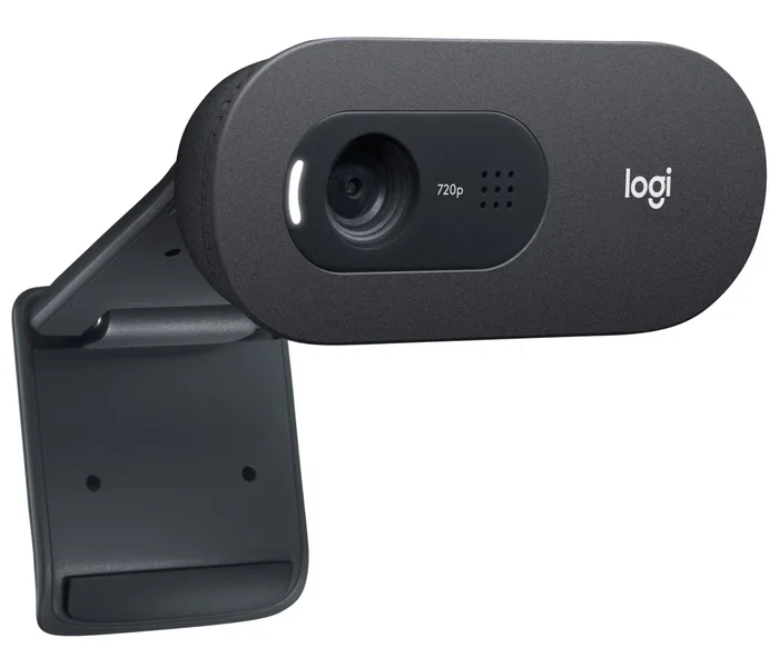 Logitech Cámara Web HD C505e 720p 30 fps con Micrófono Integrado USB Color Grafito - 960-001372