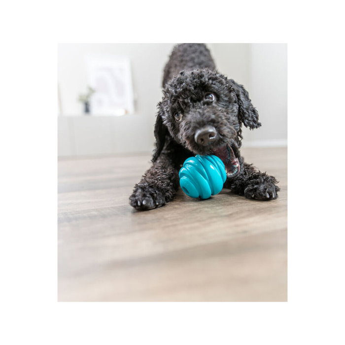 Juguete para perros Trixie Super Strong Azul