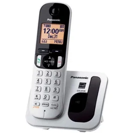 Panasonic KX-TGC210SP Teléfono Inalámbrico DECT con Altavoz e Identificador de Llamadas, Color Metálico Plata