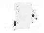 EATON ELECTRIC IS-16/1 Interruptor de aislamiento 1 polo 16A 240VAC