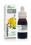 SORIA NATURAL Extracto Hipérico XXI 50ml