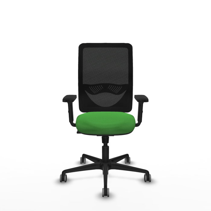 PIQUERAS Y CRESPO Silla de oficina Zulema con mecanismo Sincro, Tela Verde y Malla Negra PIQUERAS Y CRESPO Silla de oficina Zulema con mecanismo Sincro, Tela Verde y Malla Negra