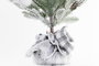 DKD Home Decor Árbol de Navidad Verde Blanco 30 x 66 x 30 cm (2 Unidades)