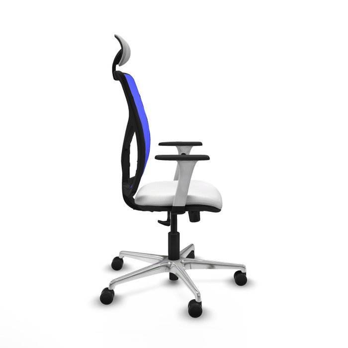 PIQUERAS Y CRESPO Silla de oficina Motilla con mecanismo Sincro, Azul y Blanco PIQUERAS Y CRESPO Silla de oficina Motilla con mecanismo Sincro, Azul y Blanco