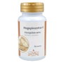 JELLYBELL MEGAPOLIPORUS-C 60 cápsulas