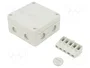 OBO BETTERMANN Caja de conexiones B 9/T Gris Claro