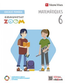 VICENS VIVES, MATEMATIQUES 6 (COMUNITAT ZOOM)