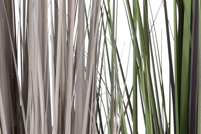 DKD Home Decor Planta Marron Claro Lila Multicolor 45 x 45 x 150 cm (2 Unidades)