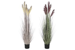 DKD Home Decor Surtido de 2 Plantas Artificiales PE/PVC 45x45x150 cm