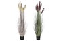 DKD Home Decor Surtido de 2 Plantas Artificiales PE/PVC 45x45x150 cm
