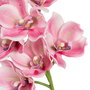 Flor Orquídea Rosa Goma Decoración 71 cm (Set de 4)
