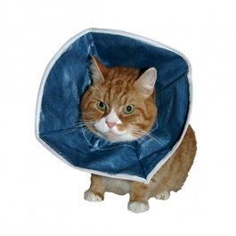 FIONAVET VET Collar Isabelino Campana Flex Azul 14 cm