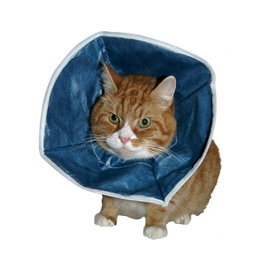 FIONAVET VET Collar Isabelino Campana Flex Azul 14 cm