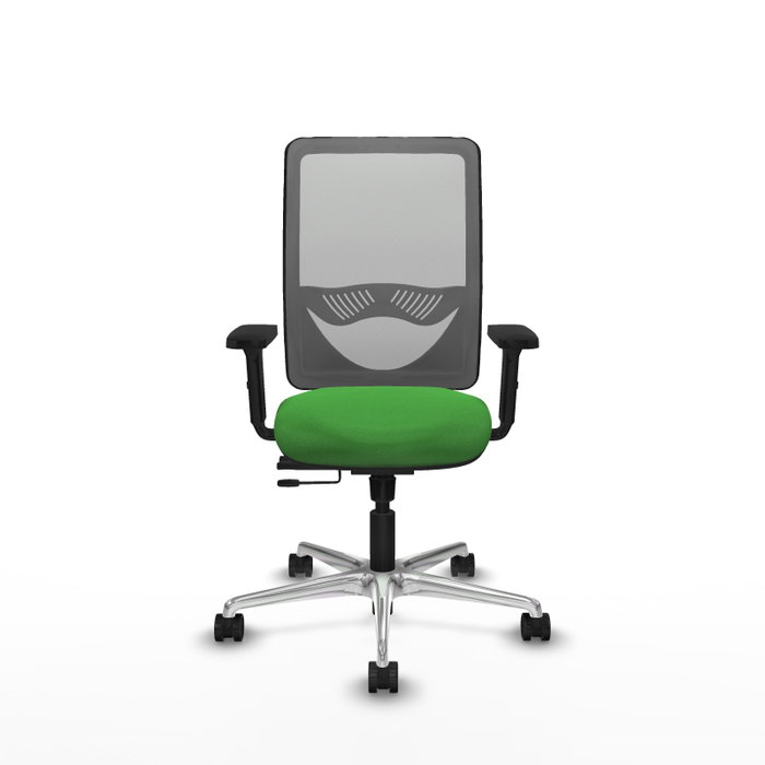 PIQUERAS Y CRESPO Silla de oficina Zulema con mecanismo Sincro/Traslack, Verde y Gris