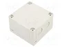 FIBOX PCM95/60G MNX Gris