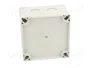 FIBOX PCM95/60G MNX Gris