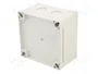 FIBOX PCM95/60G MNX Gris
