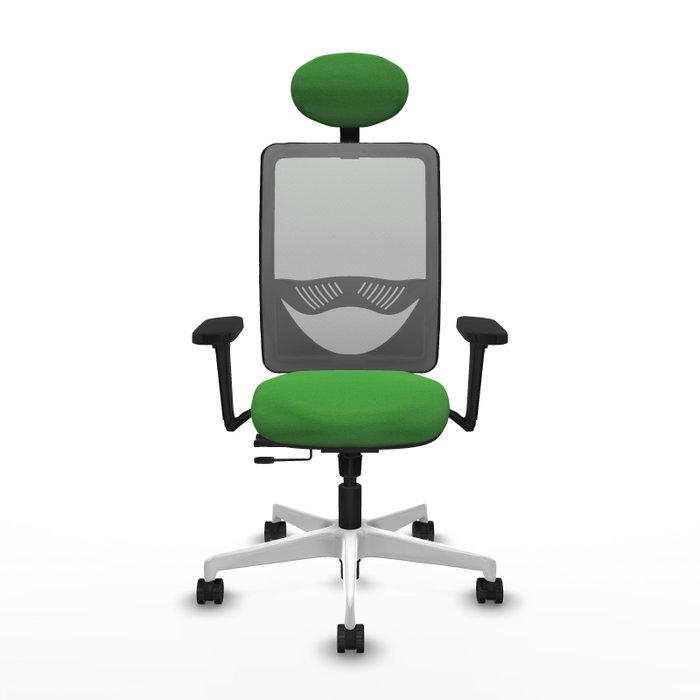 PIQUERAS Y CRESPO Silla de oficina Zulema con mecanismo Sincro/Traslack Verde y Gris PIQUERAS Y CRESPO Silla de oficina Zulema con mecanismo Sincro/Traslack Verde y Gris