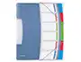Esselte VIVIDA Carpeta Clasificadora Fuelle DIN A4 Polipropileno 6 Compartimentos Multicolor
